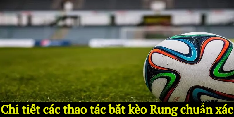 Chi tiết các thao tác bắt kèo Rung chuẩn xác